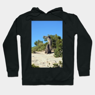 Twisted Tree Hoodie